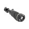 Arnott Air Suspension Strut, As-2797 AS-2797 - alternate 1
